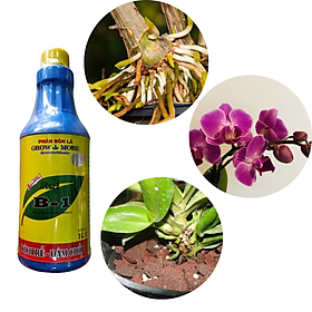 Mua Phân bón lá Vitamin B1 Growmore 500ml  Kích rễ bật mầm