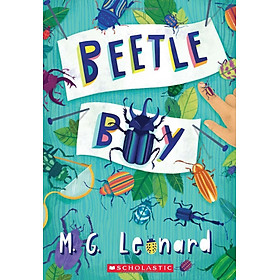Sách ngoại văn: Bettle Boy - The Battle of the Beetles - Usborne