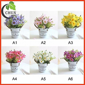 Mua Hoa giả - Chậu cúc hoạ mi vintage nhiều màu trang trí nhà cửa  văn phòng  làm đạo cụ chụp ảnh