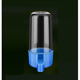 1 bình nước (mã BN1) dùng cho chim, vẹt uống (màu ngẫu nhiên theo kho của shop)