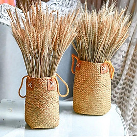 Mua Hoa Khô - Bó 50 Cành Lúa Mạch Tự Nhiên Dài 50cm Trang Trí Nhà Cửa JH-002