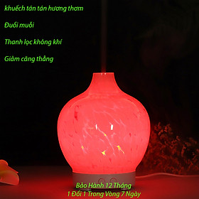 Mua Máy  Đèn Xông Tinh Dầu Cao Cấp Bằng Thủy Tinh Siêu Đẹp  Siêu Thơm