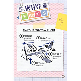 Ada Twist, Scientist: The Why Files #1 - Exploring Flight!