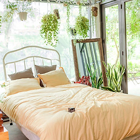 Bộ drap gối cotton satin Ai Cập Julia 543BK16 160 x 200 x 28 cm