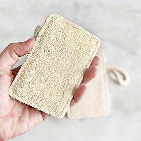 Mua Xơ mướp rửa bát thân thiện môi trường