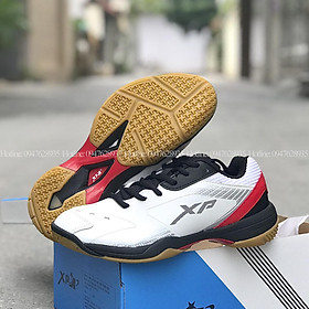 Giày cầu lông, bóng chuyền XP CL06 - Hàng công ty