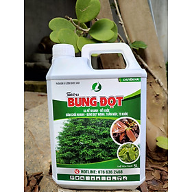 Siêu bung đọt - can 5L BUNG ĐỌT RA RỄ MẠNH