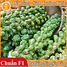 Hạt giống Bắp Cải Tí Hon Xanh ( Gói 100 hạt )