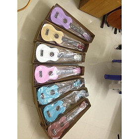 Mua Đàn Ukulele