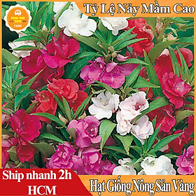 Hạt Giống Hoa Móng Tay Kép Mix Màu, Hoa Nở Lâu Tàn, Dễ Trồng Dễ Chăm Sóc (Gói 50 hạt) - Nông Sản Vàng