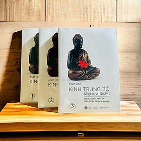 Toát Yếu Kinh Trung Bộ - Trọn bộ 3 tập (Thích Nữ Trí Hải)