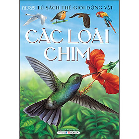 Các loài chim