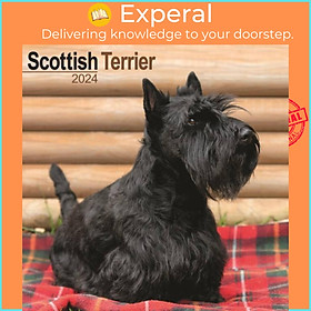 Sách - Scottish Terrier Calendar 2024  Square Dog Breed Wall Calendar - 16 Month by  (UK edition, paperback)