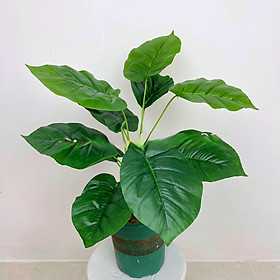 Mua Cây trầu bà giả - 12 lá - cao 60cm - Cây giả  hoa lụa trang trí nhà cửa