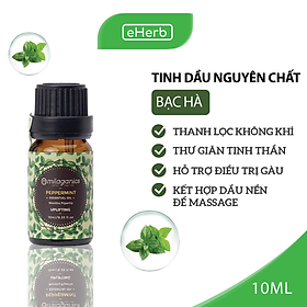 Mua Tinh Dầu Bạc Hà Nguyên Chất Giúp Đuổi Muỗi  Thơm Phòng  Giảm Stress MILAGANICS 10ml (Chai)