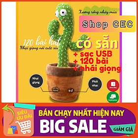 Cây Xương Rồng Nhảy Múa Nhái Giọng Sạc Pin