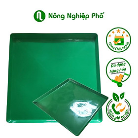 Mua Khay đựng nước làm mát  lót chậu lan
