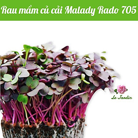 Hạt giống Rau Mầm Củ Cải Malady gói 10gr
