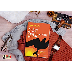 TÔI BIẾT TẠI SAO CHIM TRONG LỒNG VẪN HÓT (Giới thiêu bởi Oprah Winfrey) – Maya Angelou – Quế Chi dịch – BestBooks – NXB Văn Học (Bìa mềm)