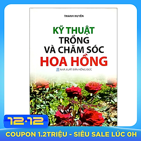 Kỹ Thuật Trồng Và Chăm Sóc Hoa Hồng