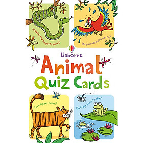 Flashcards tiếng Anh - Activity Card: Animal Quiz Cards