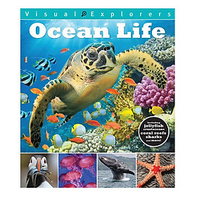 Ocean Life: Visual Explorers