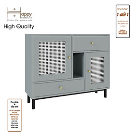 [Happy Home Furniture] ROTAN, Tủ lưu trữ 2 ngăn kéo 2 cửa mở - chân sắt, 100cm x 30cm x 80cm ( DxRxC), TCM_132