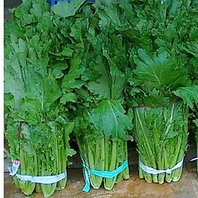 1 kg hạt giống rau cải mèo hà giang . nảy mầm tốt-1 gói 1kg
