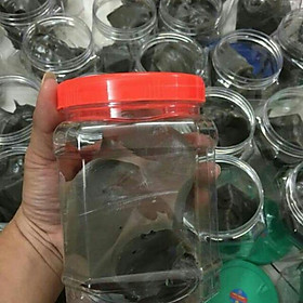Mua Keo bẫy chim sẻ chào mào về hộp 500gtàng hình