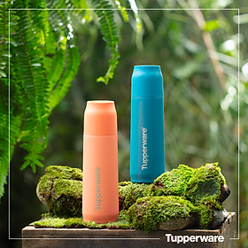 Mua Bình Giữ Nhiệt Tupperware Buddy Tup 520ml