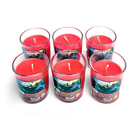 Hộp 6 ly nến thơm votive Miss Candle FTRAMART NQM0413 Tropic Jungle (Hương trái cây)