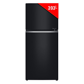 Mua Tủ Lạnh Inverter LG GN-L422GB (393L) - Hàng chính hãng
