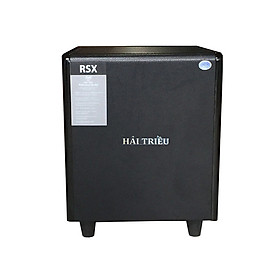 Loa dub điện AMS - 1200 HẢI TRIỀU (hàng chính hãng)