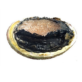 Bào Ngư Úc Viền Điên Đông Lạnh - 500gr