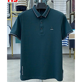 Áo polo nam, áo thun cổ bẻ thêu ngực RMEN Store vải cá sấu dệt lỗ thoáng mát form chuẩn M3