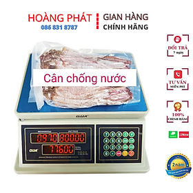 Mua CÂN ĐIỆN TỬ BÁN HÀNG TÍNH TIỀN CHỐNG NƯỚC 30Kg/5g QUA832. CÂN HẢI SẢN  THỦY SẢN  CHỐNG NƯỚC TUYỆT ĐỐI  CÂN ĐIỆN TỬ CAO CẤP