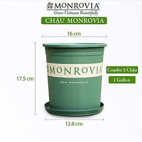 5 Chậu nhựa trồng cây MONROVIA 1 Gl, chậu trồng cây, chậu cây cảnh mini, để bàn, treo ban công, treo tường, cao cấp, chính hãng thương hiệu MONROVIA