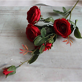 Hoa hồng 5 bông màu đỏ 1020R     FLOWER