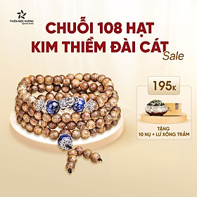 Vòng tay trầm hương tự nhiên 108 hạt Kim Thiềm Đài Cát mix Charm Bạc 925 cao cấp - Giàu sang, thịnh vượng - Trầm Tốc Việt Nam - Thiên Mộc Hương