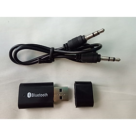Mua USB BLUETOOTH PT810 - Chuyển loa thường thành loa Bluetooth - Hàng chính hãng