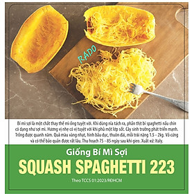 Mua Hạt giống Bí Sợi Mì Ý Spagheti