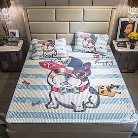 Mua Chiếu Điều Hoà Trncel Latex 5D Mủ Cao Su Non Hàng Nhập Khẩu Cao Cấp 3 Món