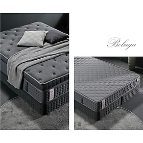 Mua NỆM LÒ XO BEDIS BELUGA