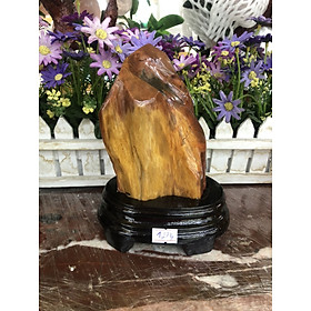 Trụ gỗ hóa thạch phong thủy
