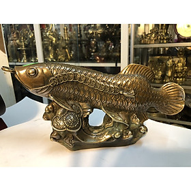 Mua Tượng cá rồng nâu phong thủy