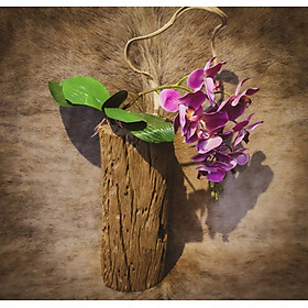 Lọ hoa, Bình hoa gỗ lũa tự nhiên - Dùng Decor trang trí phòng khách, phòng ăn, phòng ngủ hoặc phụ kiện chụp ảnh