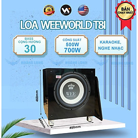 Mua Loa sub điện T8i + Bass 30 - Hàng chính hãng Weeworld
