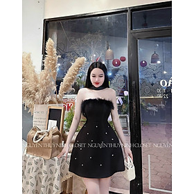 ĐẦM TAPTA PHỐI LÔNG ĐÍNH CƯỜM    2 MÀU Y HÌNH