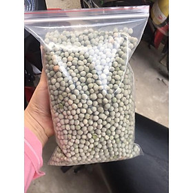 Mua 1kg hạt giống rau mầm đậu Hà Lan