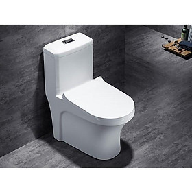 Mua Bệt cao liền khối GRVBC-R20